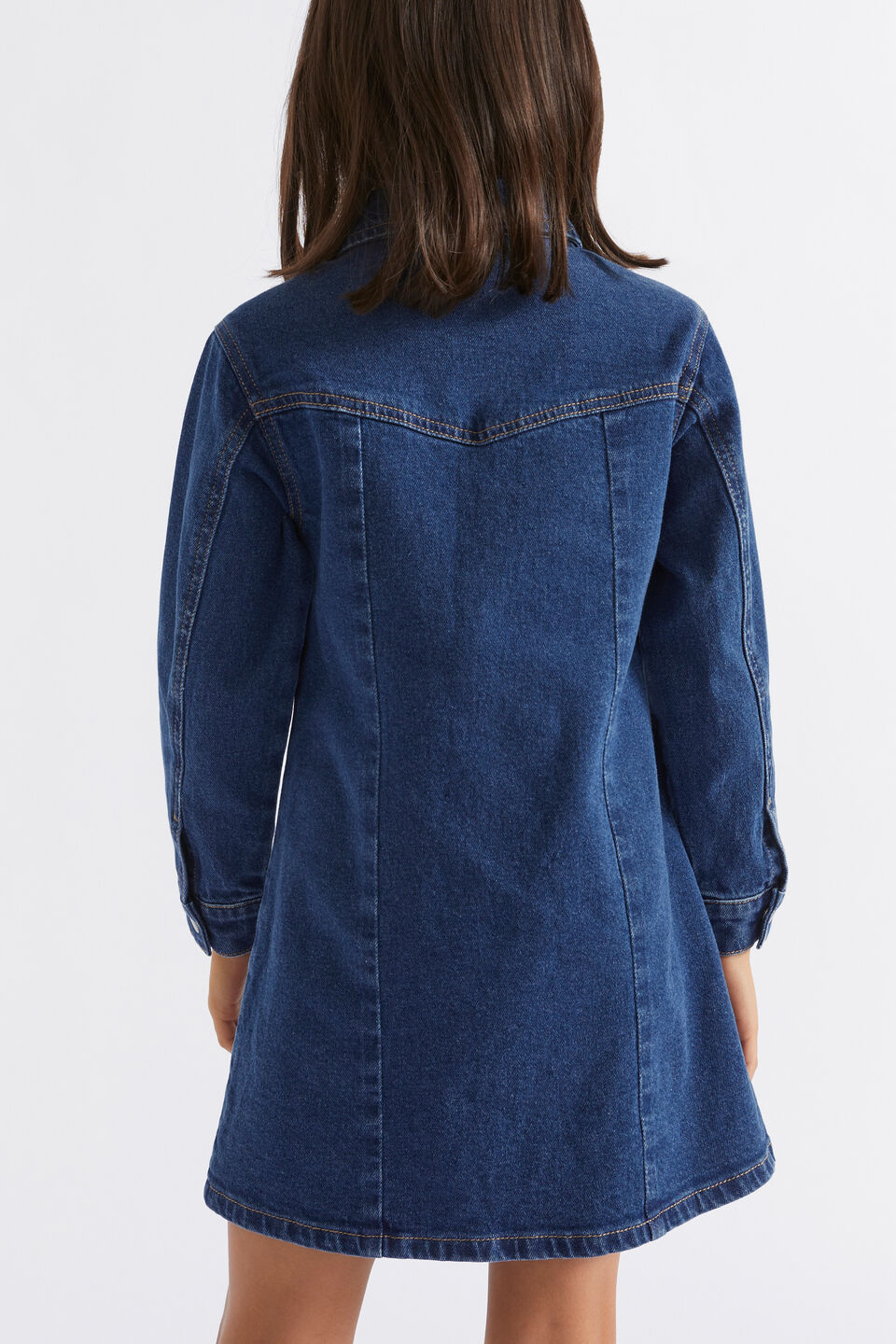 Collared Denim Dress  Indigo