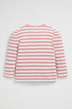 Stripe Rib Tee  Canvas  hi-res