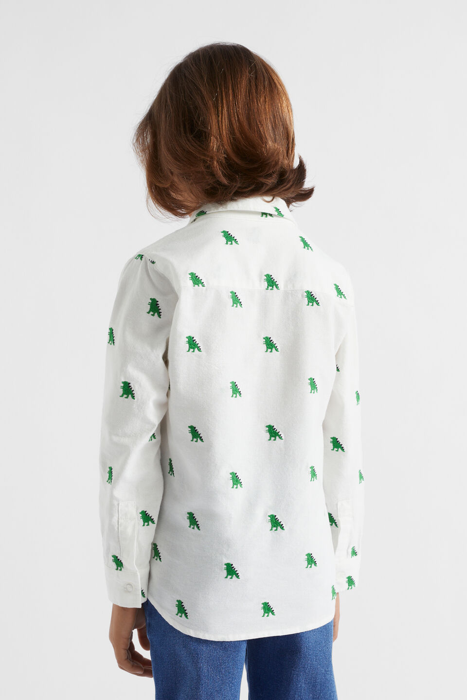 Dino Shirt  Canvas