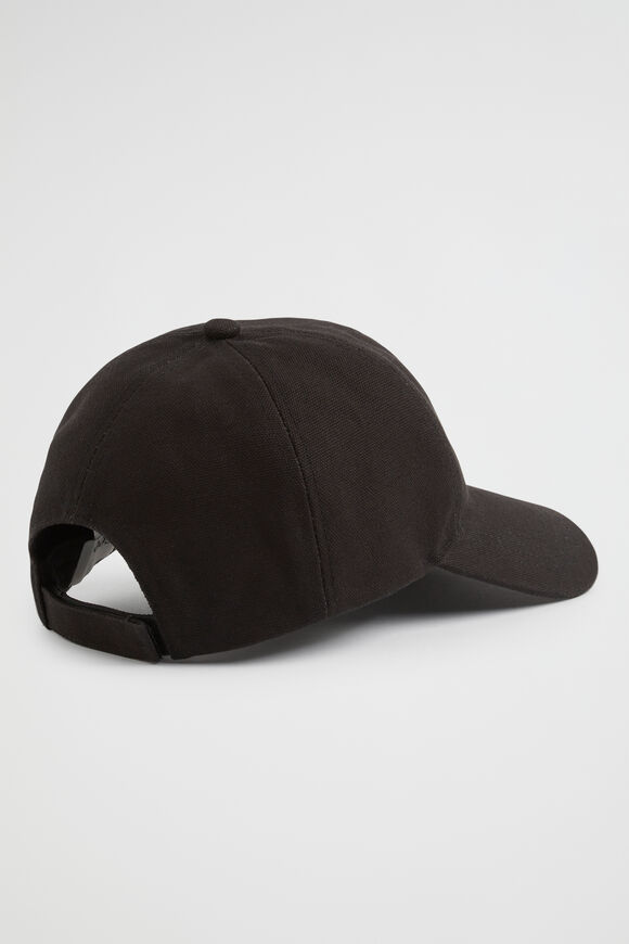 Seed Cap  True Black  hi-res