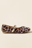 Ocelot Ballet  Multi  hi-res