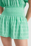 Textured Gingham Shirred Waist Short  Jade Green Gingham  hi-res