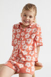 Knit Jacquard Short  Red Clay  hi-res