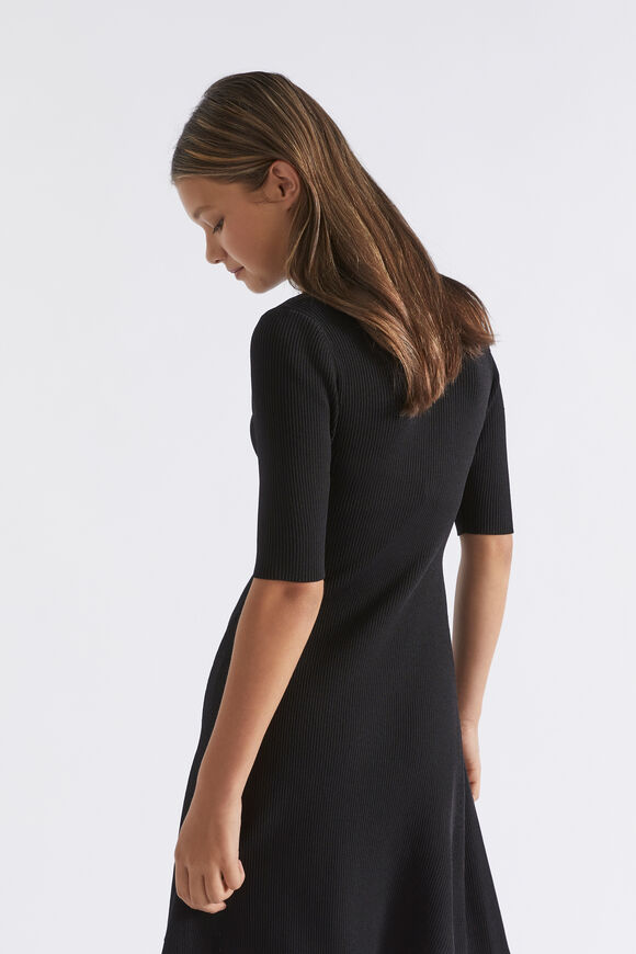 Rib Knit Dress  Black  hi-res