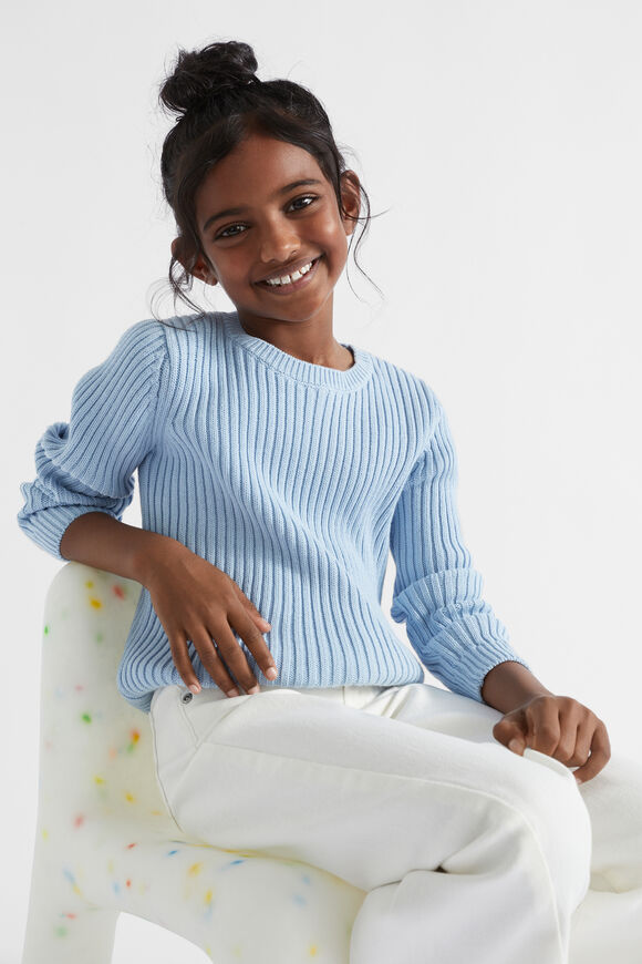 Rib Knit Sweater  Pale Blue  hi-res