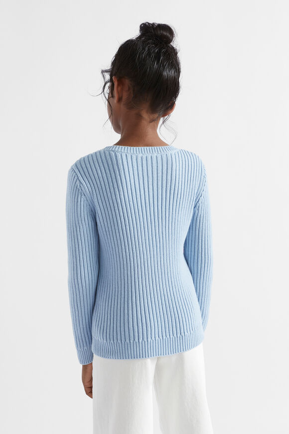 Rib Knit Sweater  Pale Blue  hi-res