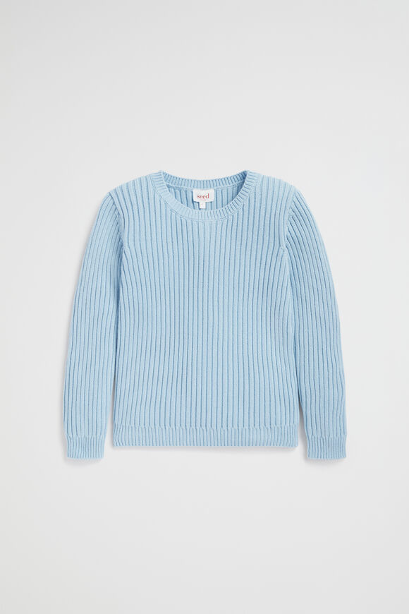 Rib Knit Sweater  Pale Blue  hi-res