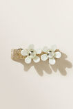 Daisy Clip  Multi  hi-res