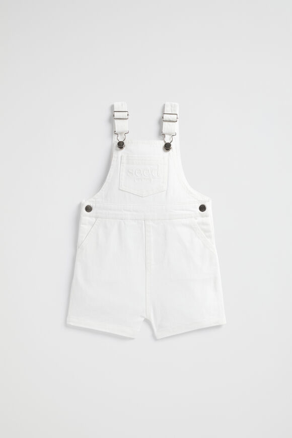 Core Logo Overall  Canvas Wash  hi-res