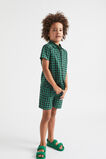 Check Shirt  Palm Green  hi-res