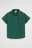 Check Shirt  Palm Green  hi-res