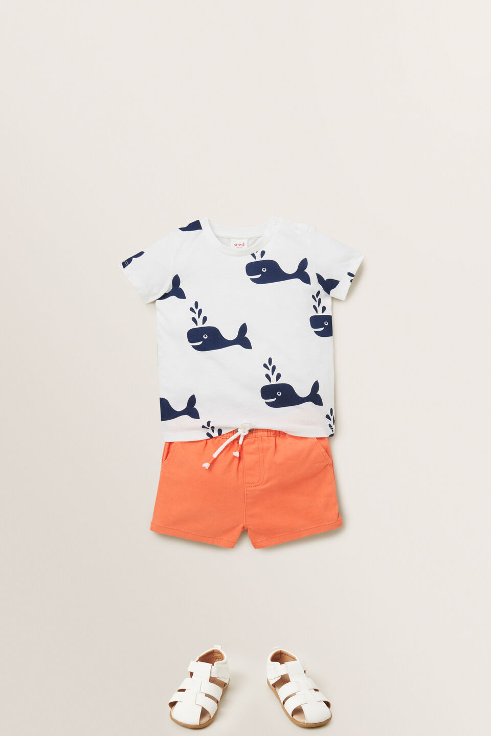 Whale Tee  
