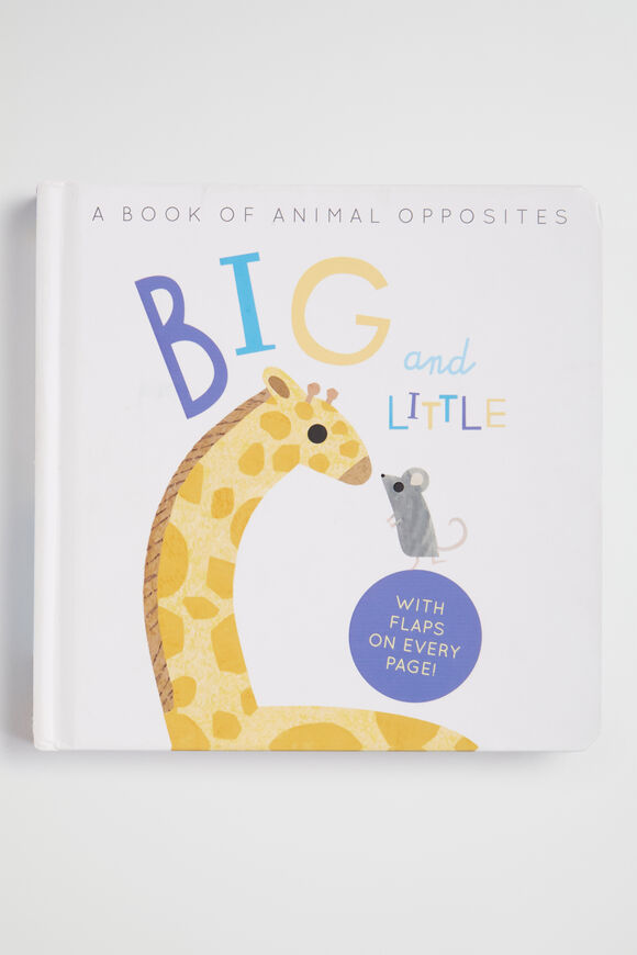 Big and Little Book  Multi  hi-res