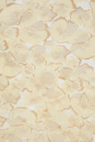 Print Scarf  Limocello  hi-res