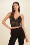 Fine Lace Bralette  Black  hi-res