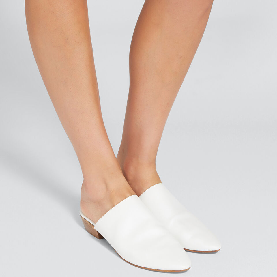Kennedy Mule  1