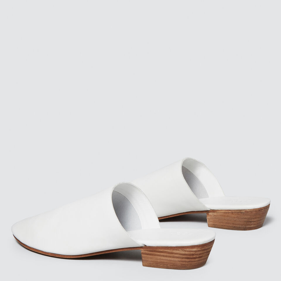 Kennedy Mule  1