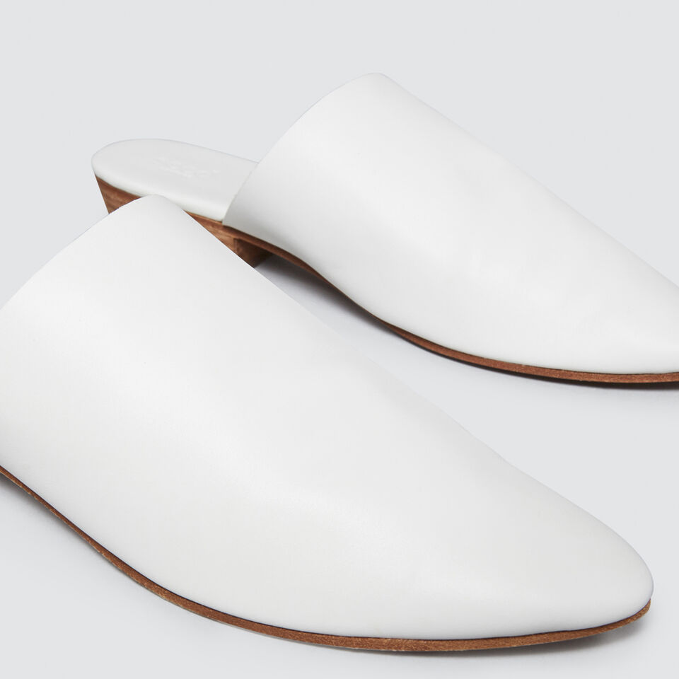 Kennedy Mule  1