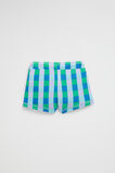 Check Swim Short  Multi  hi-res