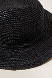 Essential Panama Hat  True Black  hi-res