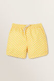 Geo Boardshorts    hi-res