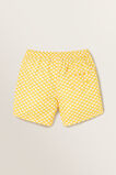 Geo Boardshorts    hi-res