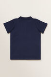Logo Polo    hi-res