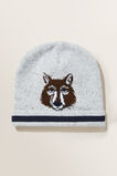 Jacquard Beanie  Multi  hi-res