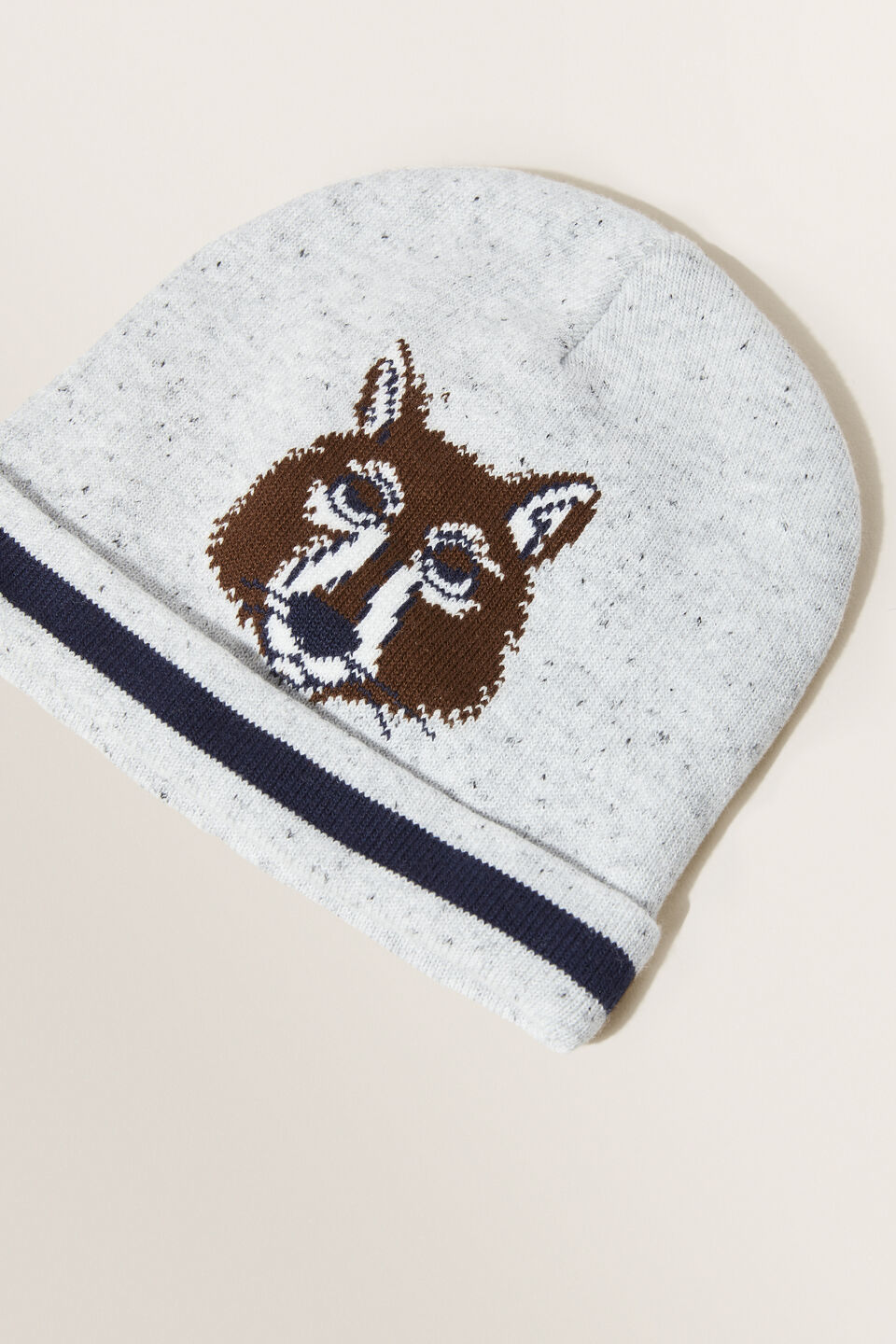 Jacquard Beanie  Multi