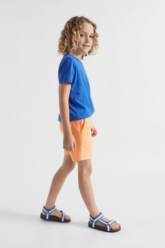 Core Logo Short  Mango  hi-res