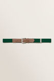 Elastic Belt  Forest Green  hi-res