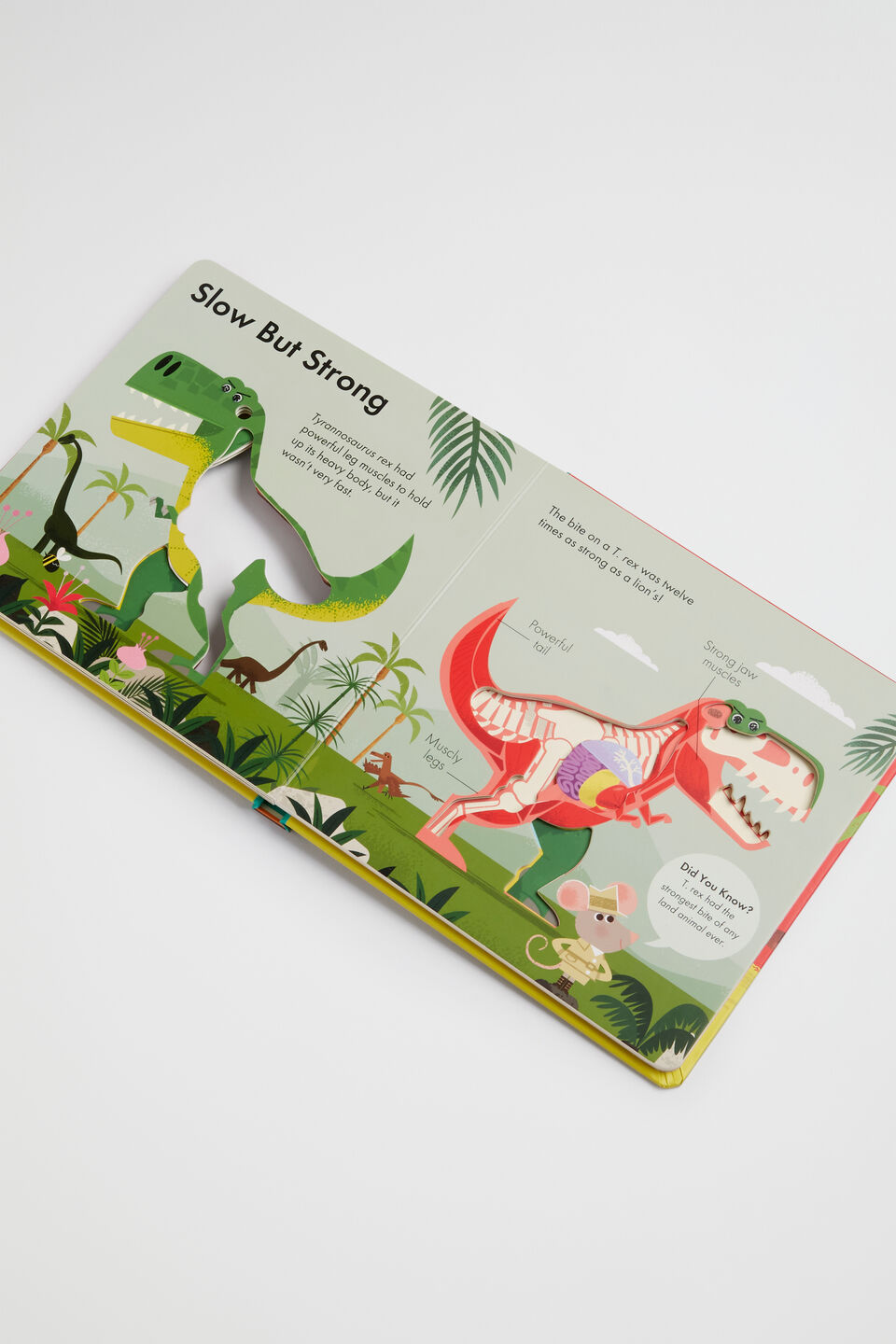 How It Works Dinosaur Book  Multi