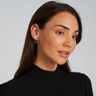 Teardrop Earrings    hi-res