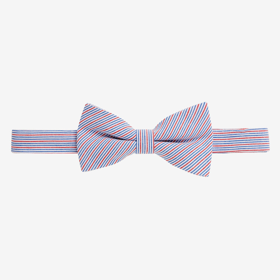 Preppy Stripe Bow Tie  
