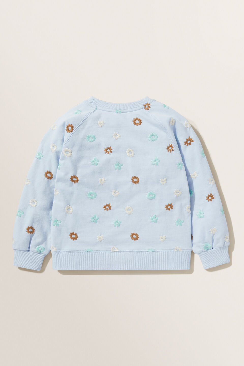 Floral Embroidered Sweater  Baby Blue