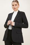 Basic Suit Blazer  Black  hi-res