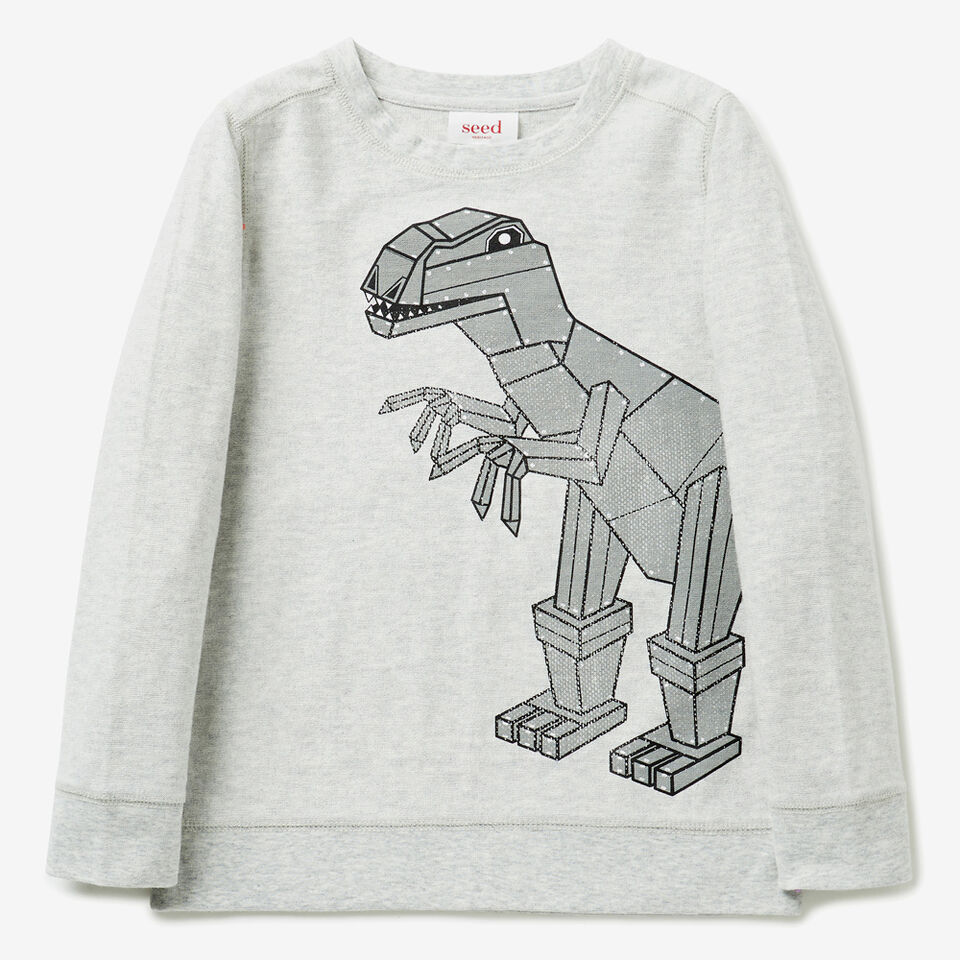 Dino Print Sweater  