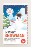 Instant Snowman    hi-res