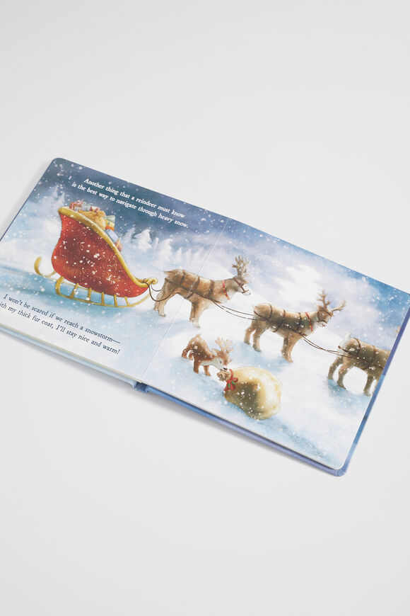 A Reindeer's Dream Book  Multi  hi-res