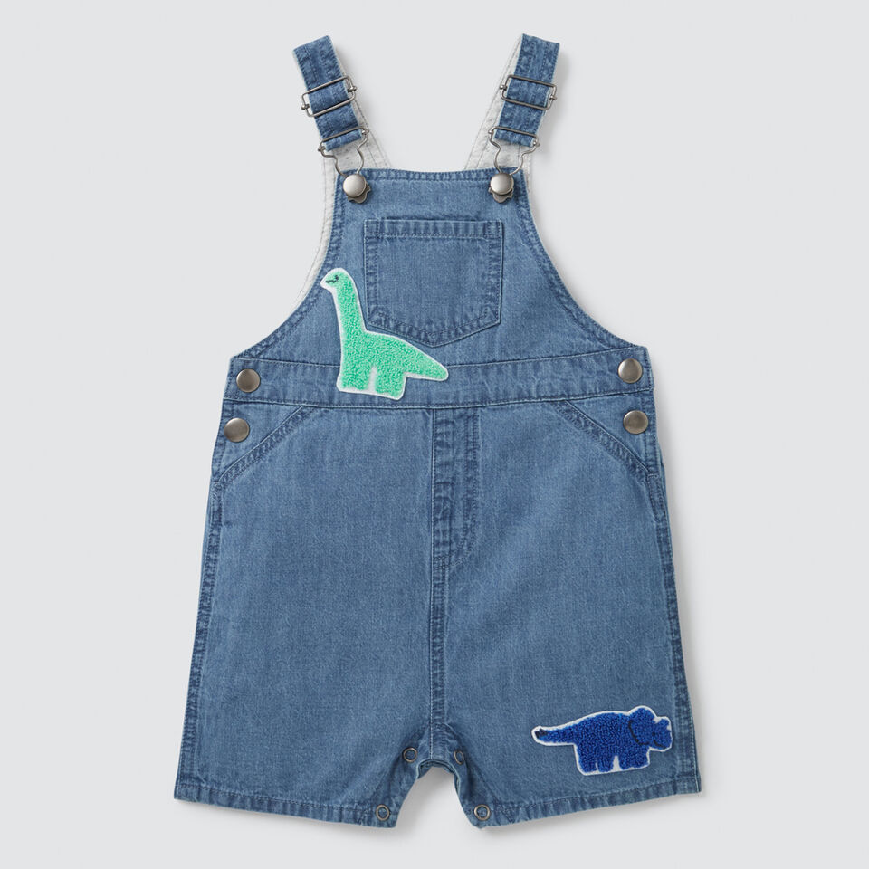 Dino Patches Overall  