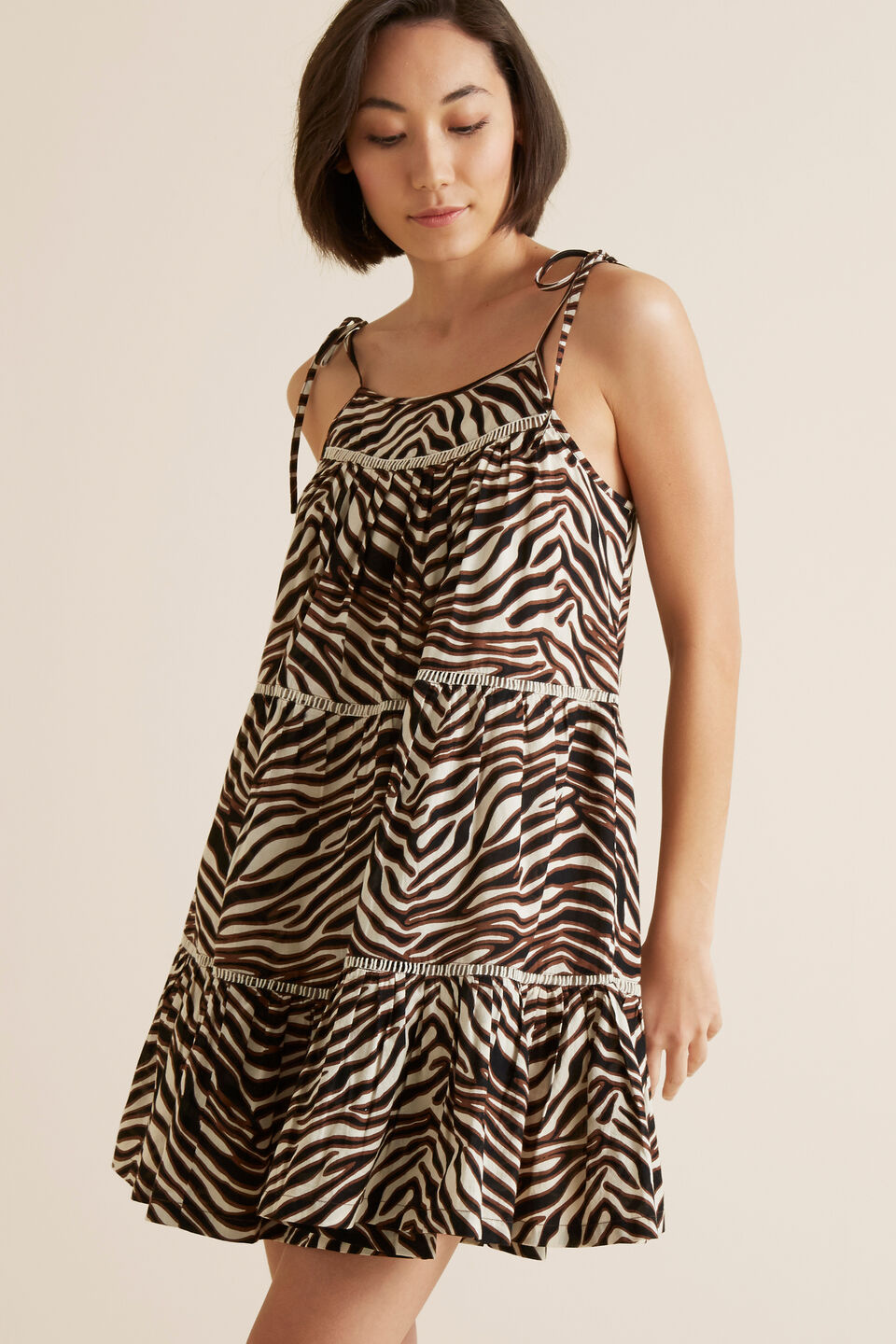 Multi Zebra Dress  