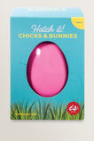Hatch It Eggs    hi-res