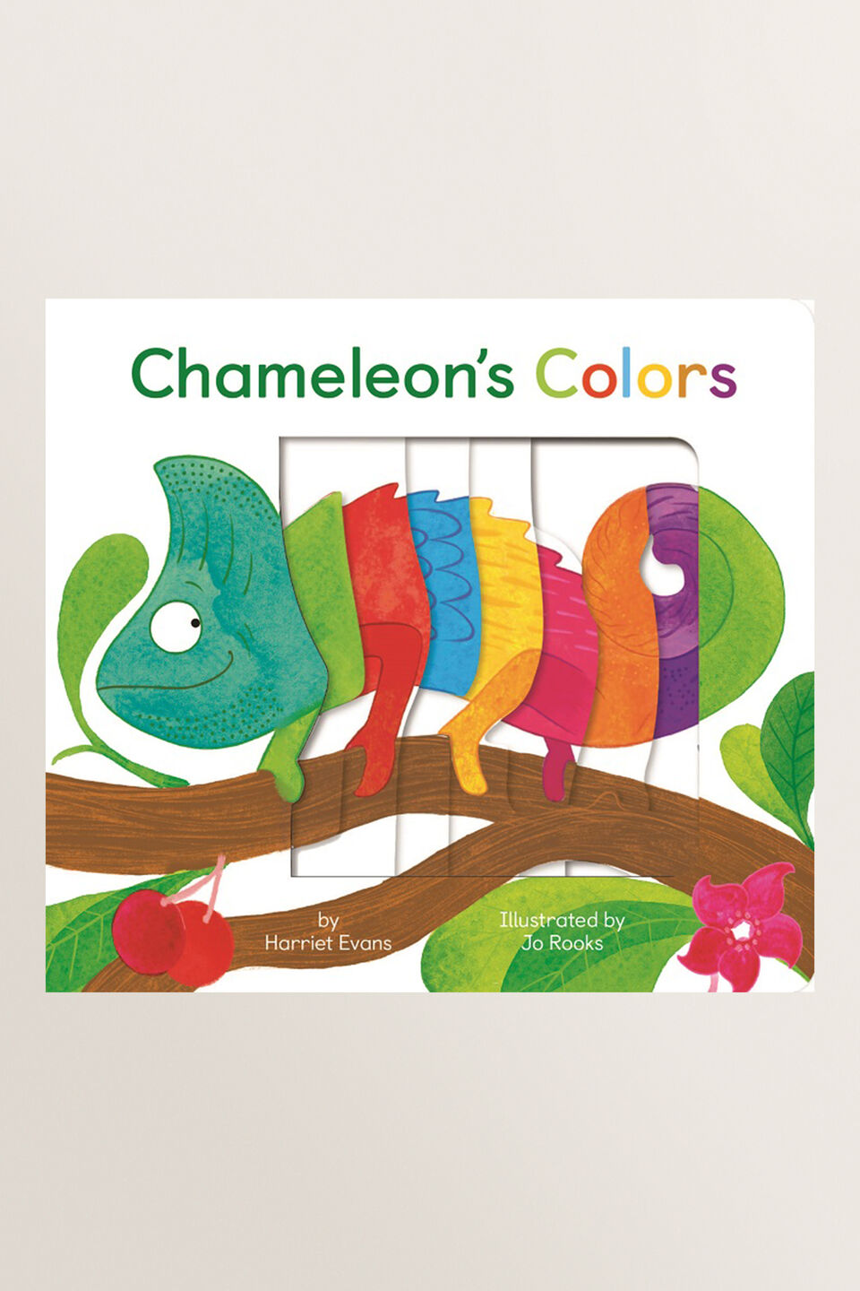 Chameleon Of Colours Book  