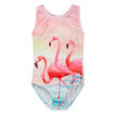 Flamingo Digi Bathers    hi-res