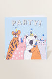 Large Party Card  Multi  hi-res