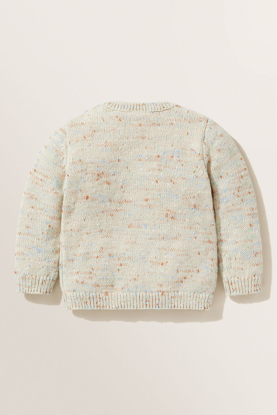 Speckle Knit Sweater  Multi
