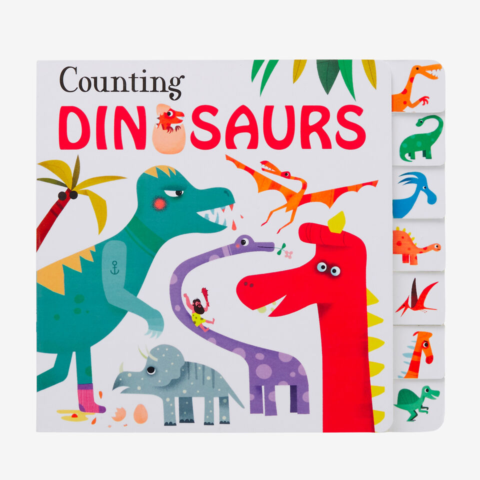 Counting Dinosaurs Book  