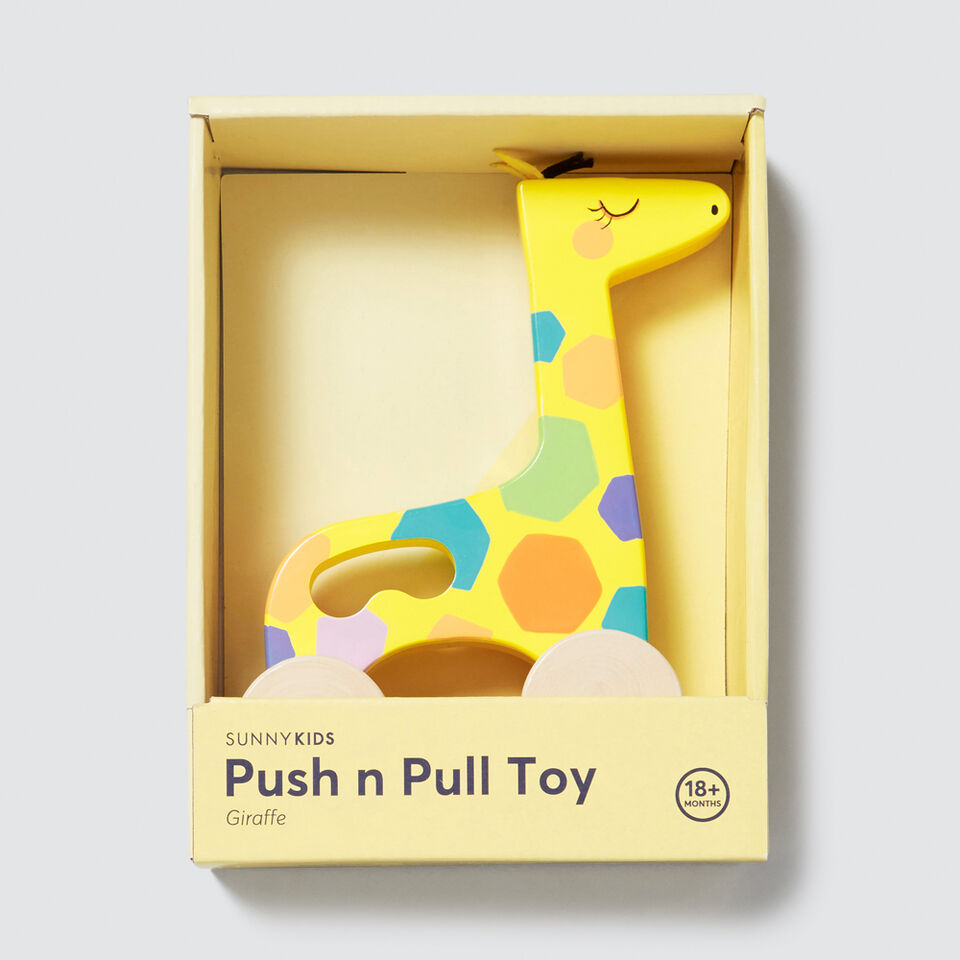 Giraffe Push N Pull Toy  
