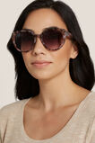Oversized Cat Eye Sunglasses    hi-res