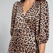 Leopard Print Dress    hi-res